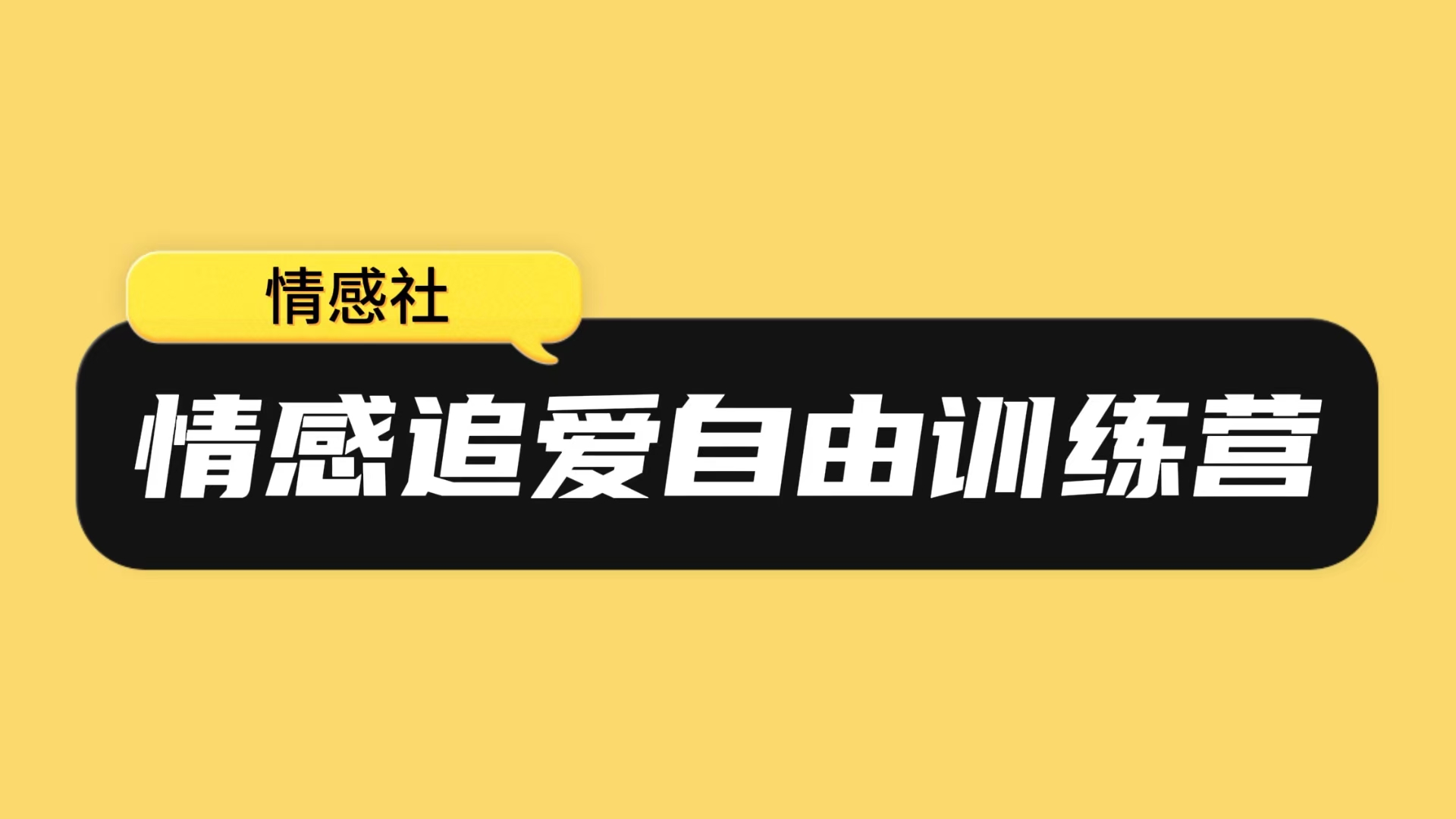 《情感追爱自由训练营》
